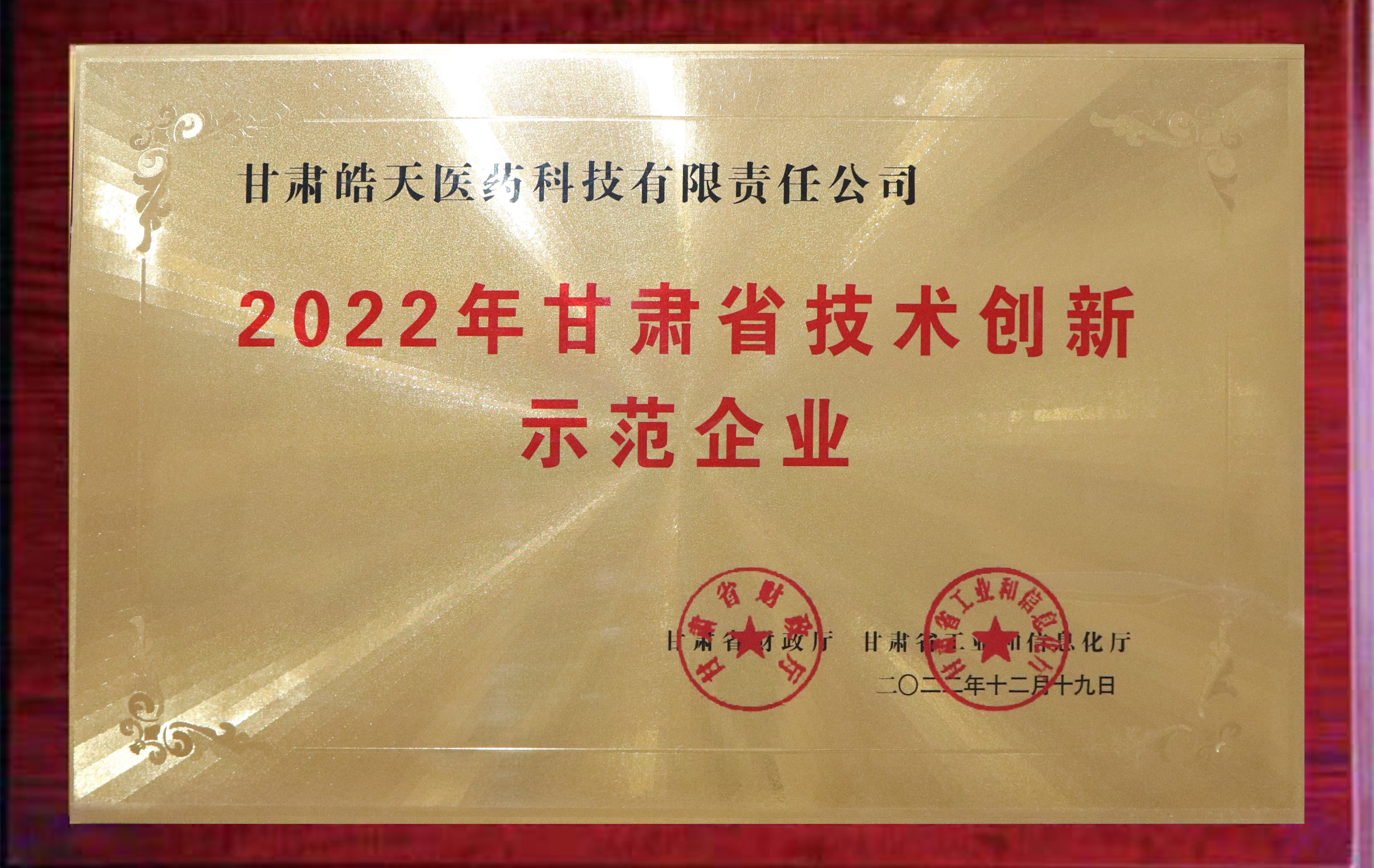 甘肅省技術(shù)創(chuàng)新示范企業(yè)